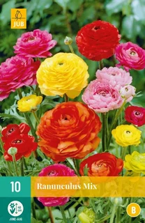 Ranunculus Mix 10st