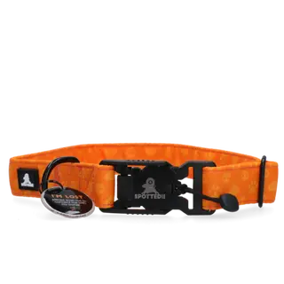 Spotted Pro Halsband S Oranje - afbeelding 1