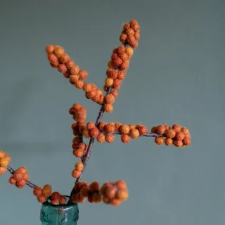 Tak Vilt Bes Ilex Oranje - afbeelding 2