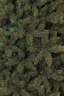 Triumph Tree Kunstkerstboom Forest Frosted Slim Blauw - H230cm - afbeelding 3