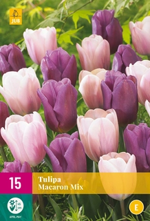 Tulipa Macaron Mix - 15 bloembollen