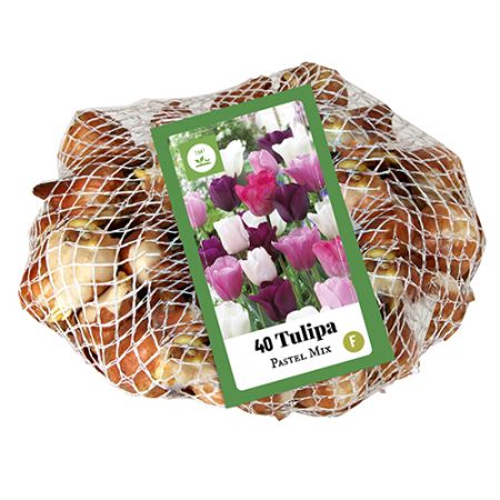 Tulipa Pastel Mix - 40 bloembollen