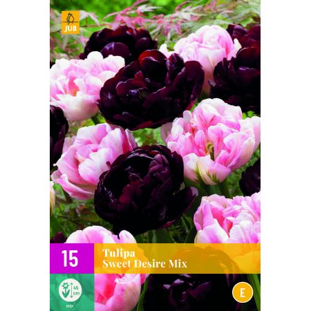 Tulipa Sweet Desire Mix - 15 bloembollen