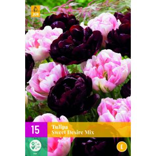 Tulipa Sweet Desire Mix - 15 bloembollen