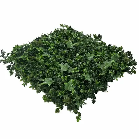 Wandplant Hydranchea 1x1m - afbeelding 4