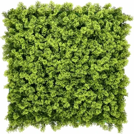 Wandplant Moss 1x1m