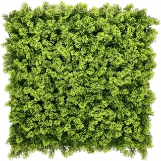 Wandplant Moss 1x1m